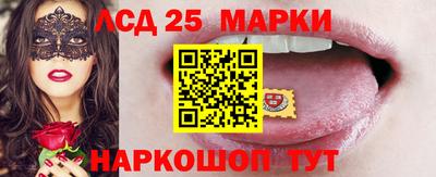 кокс Можга