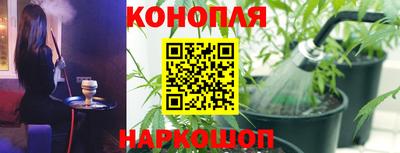 кокс Можга