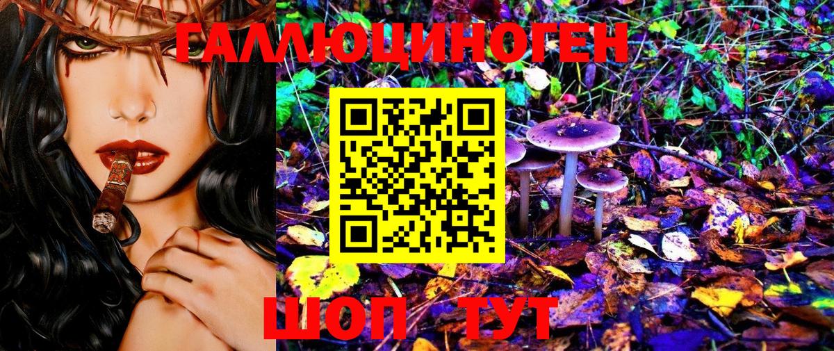 Псилоцибиновые грибы Cubensis Ярцево